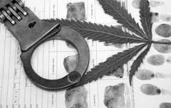 Drug Crime Defense Drug Crime Defense Attorneys